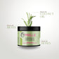 Mielle Rosemary Mint Strengthening Hair Masque