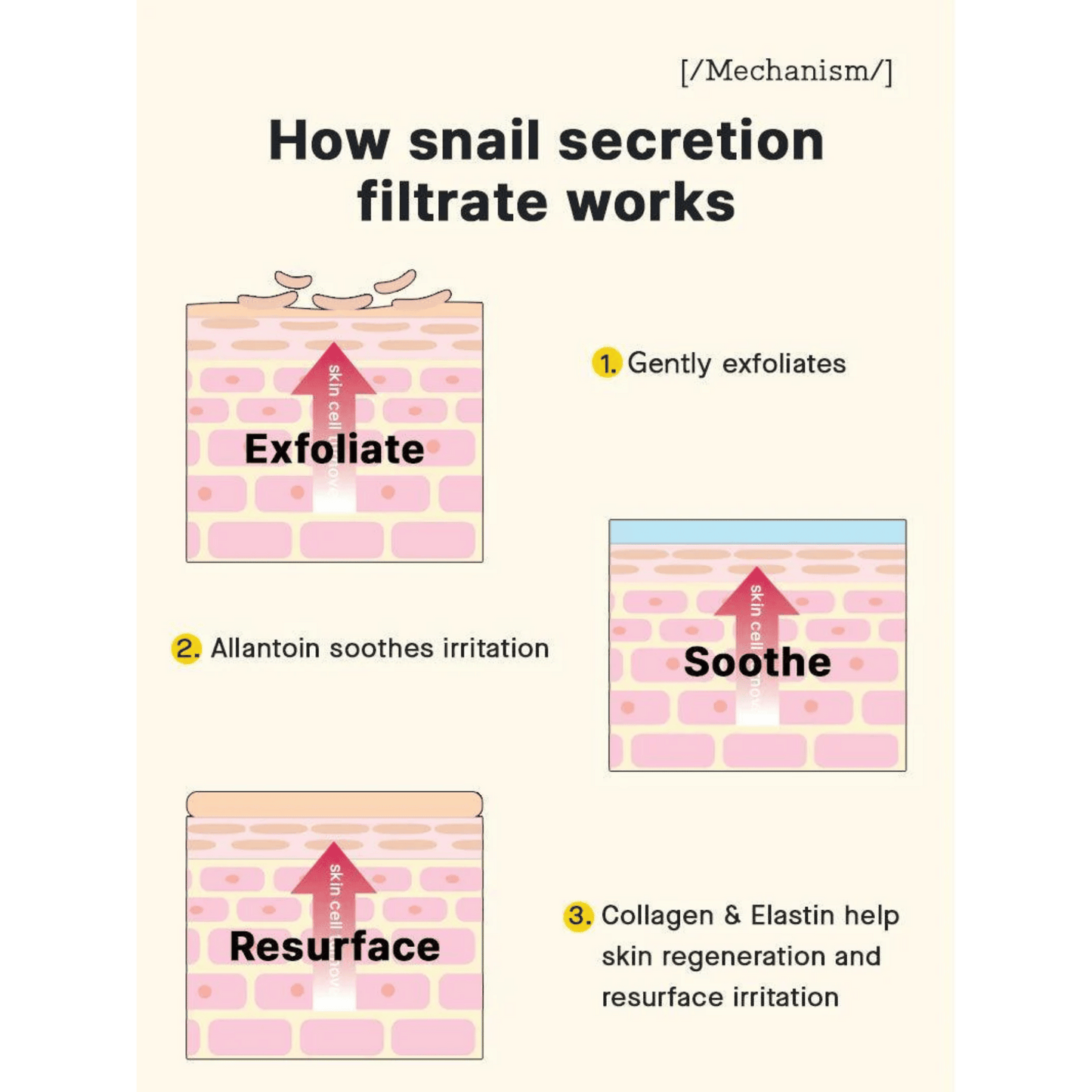 Cosrx Advanced Snail Radiance Dual Essence (80ml)