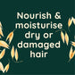 Aveeno Daily Moisture+ Oat Milk Blend Conditioner